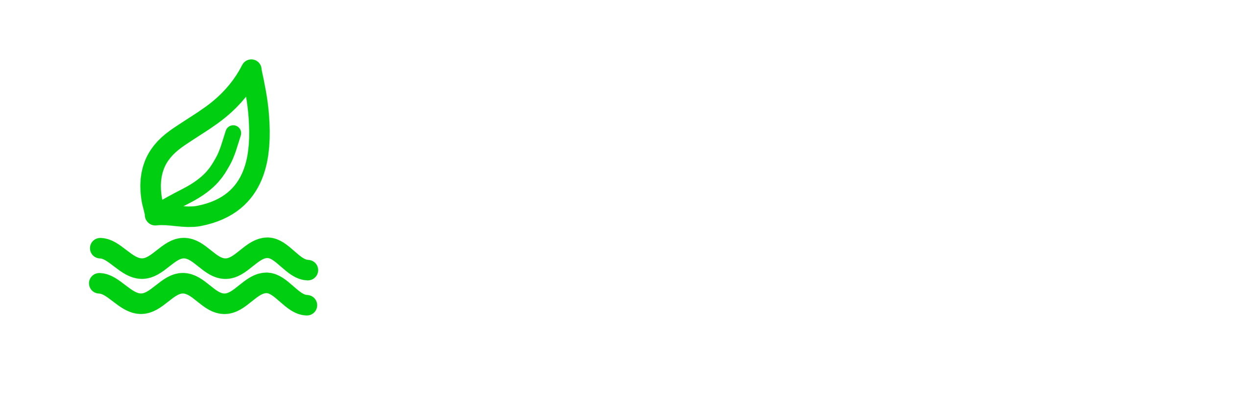 puracleanlaundry.com