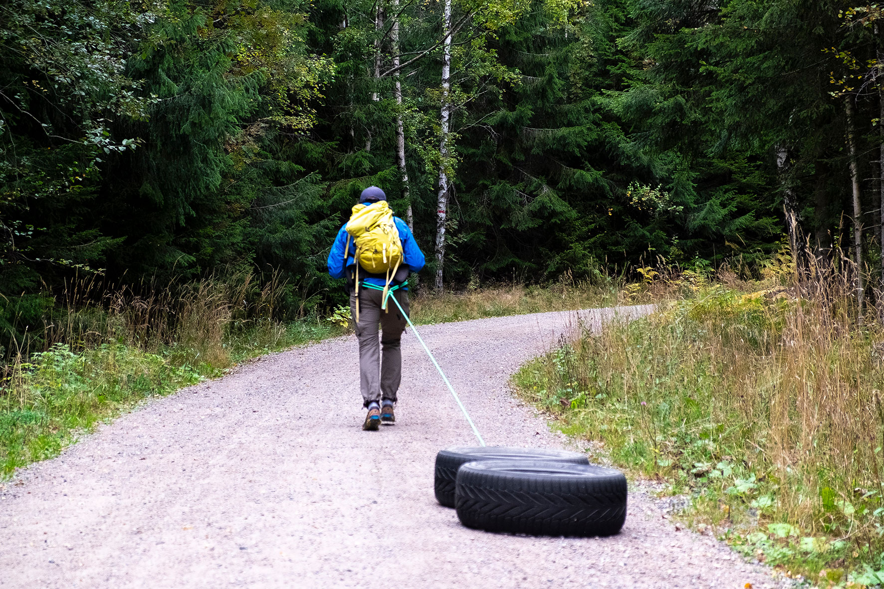 Dekktrening