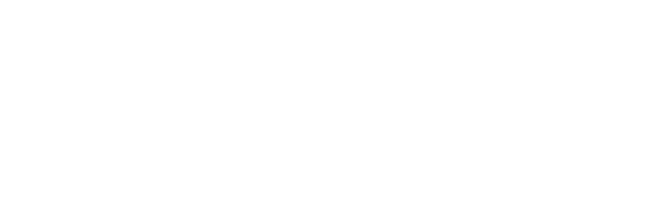 big-logo big-logo