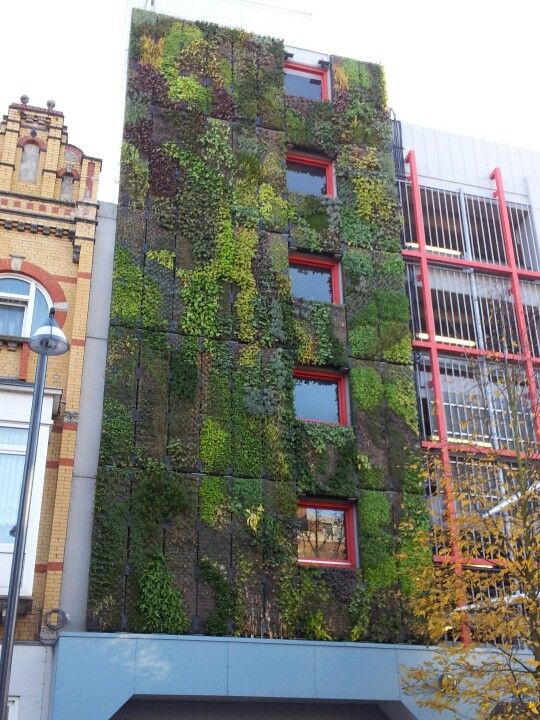 Groene gevel rood gebouw