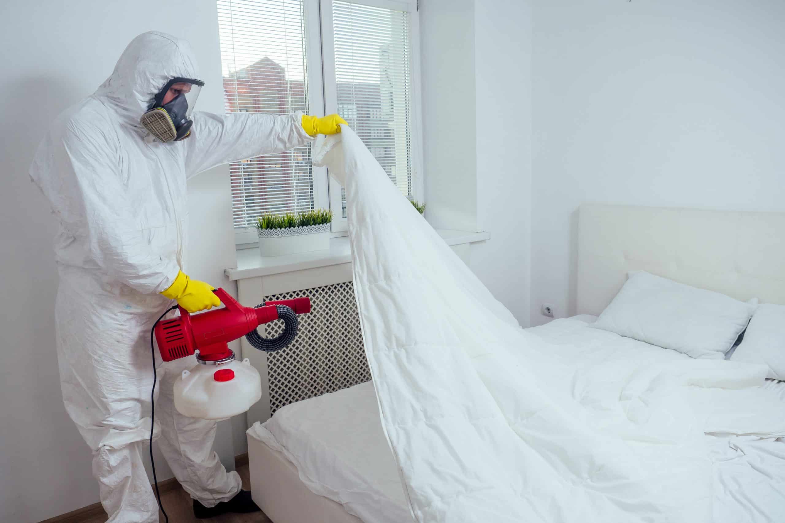 Pest control technician sanitizing a bed for bed bugs