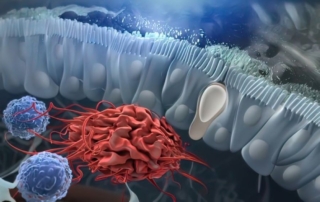 tarmflora, tarmhälsa