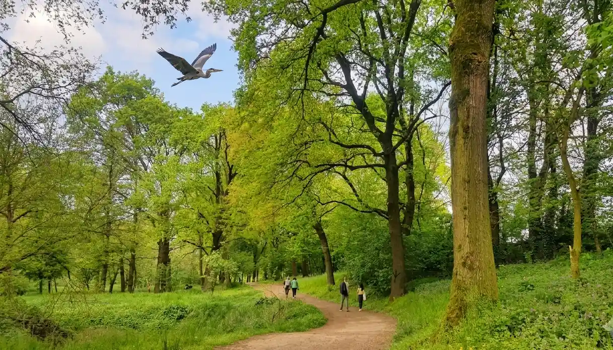 Un sentiero ombreggiato e immerso nel verde alberato del Parco della Vernavola a Pavia, ideale per una camminata rilassante.
