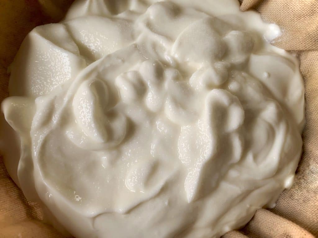 Labneh