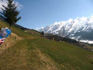 2011 Laclusaz 20110321 11-16-57