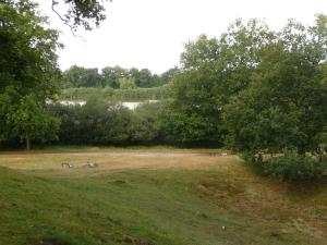 2013 Veluwe 20130806 08-43-08