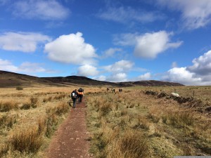 042 WestHighlandWay Zaterdag 30-04-2016  nr 042