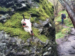 084 WestHighlandWay Zondag 01-05-2016  nr 084