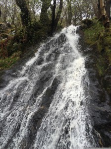 087 WestHighlandWay Zondag 01-05-2016  nr 087