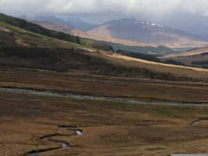 113 WestHighlandWay Maandag 02-05-2016  nr 113