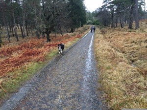 141 WestHighlandWay Dinsdag 03-05-2016  nr 141