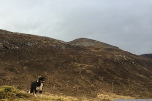 170 WestHighlandWay Woensdag 04-05-2016  nr 170