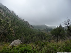 Mallorca 2017 06 05 13u43 17 (P1110330)