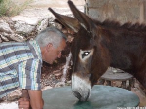 Mallorca 2017 06 06 21u02 32 (P1110398)