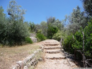 Mallorca 2017 06 08 14u39 59 (P1110457)