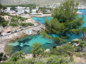 Mallorca 2017 06 10 12u09 46 (P1110498)