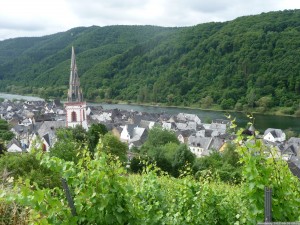 Moselsteig 20170630 0950 27 (P1110568)