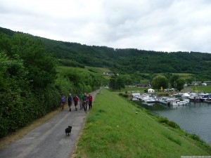 Moselsteig 20170630 1137 31 (P1110576)