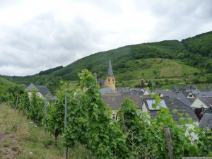 Moselsteig 20170630 1143 10 (P1110578)