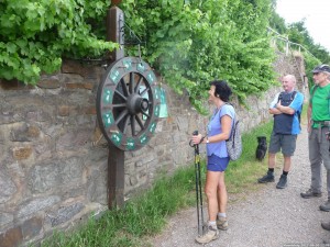 Moselsteig 20170630 1208 14 (P1110585)