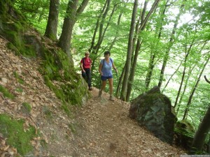 Moselsteig 20170630 1321 23 (P1110593)