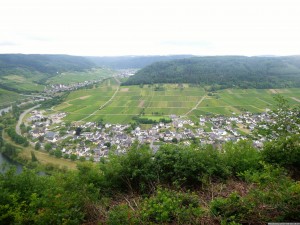 Moselsteig 20170630 1519 24 (P1000280)