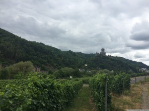 Moselsteig 20170630 1717 23 (IMG 4287)