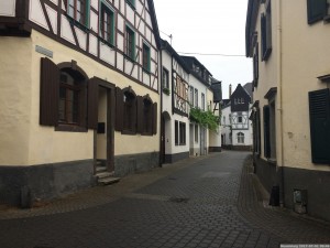 Moselsteig 20170701 0946 56 (IMG 4297)