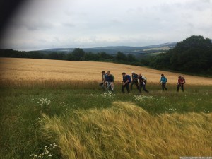 Moselsteig 20170701 1159 00 (IMG 4305)