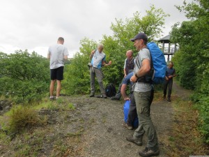 Moselsteig 20170701 1435 34 (IMG 3145)