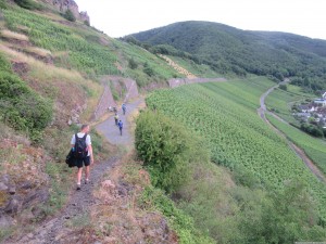 Moselsteig 20170701 1700 24 (IMG 3174)