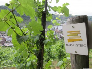 Moselsteig 20170701 1707 50 (IMG 3179)