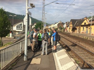 Moselsteig 20170702 0845 39 (IMG 4337)