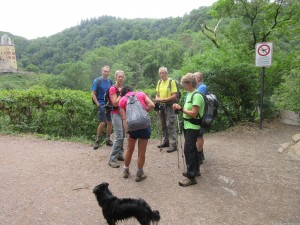 Moselsteig 20170702 1123 11 (IMG 3199)