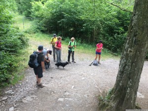 Moselsteig 20170702 1138 20 (IMG 4348)