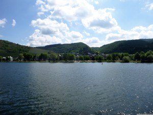 Moselsteig 20170703 1022 49 (P1000321)