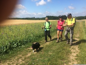 Moselsteig 20170703 1054 42 (IMG 4363)