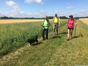 Moselsteig 20170703 1056 19 (IMG 4364)