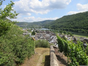 Moselsteig 20170703 1338 56 (IMG 3266)