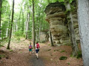 Mullerthal 20170905 13-31-20