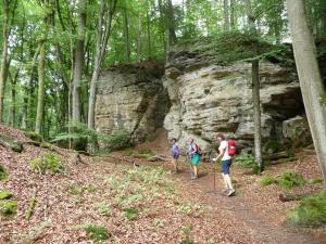 Mullerthal 20170905 13-31-41