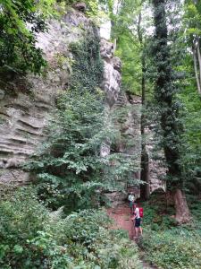 Mullerthal 20170906 09-39-27