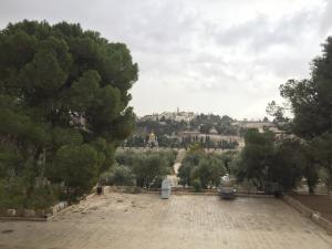 2017 Israel 20171122 07-58-10