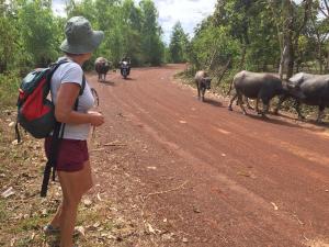 Thailand 20181211 12-16-02