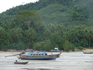 Thailand 20181216 10-04-07