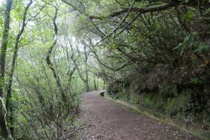 Madeira 20190414 11-35-36