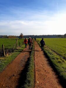 Coronawandeling Ruddervoorde 2020-11-07 10-48-59