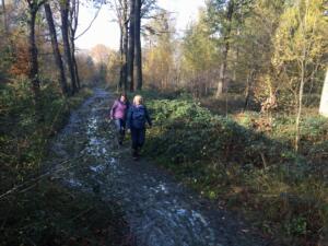 Beernemse Bossen 2020-11-14 11-31-21