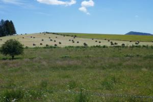 2020 Auvergne 20200709 13-41-50