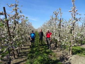 Treinstapper Alken SintTruiden 2021-04-27 10-01-25